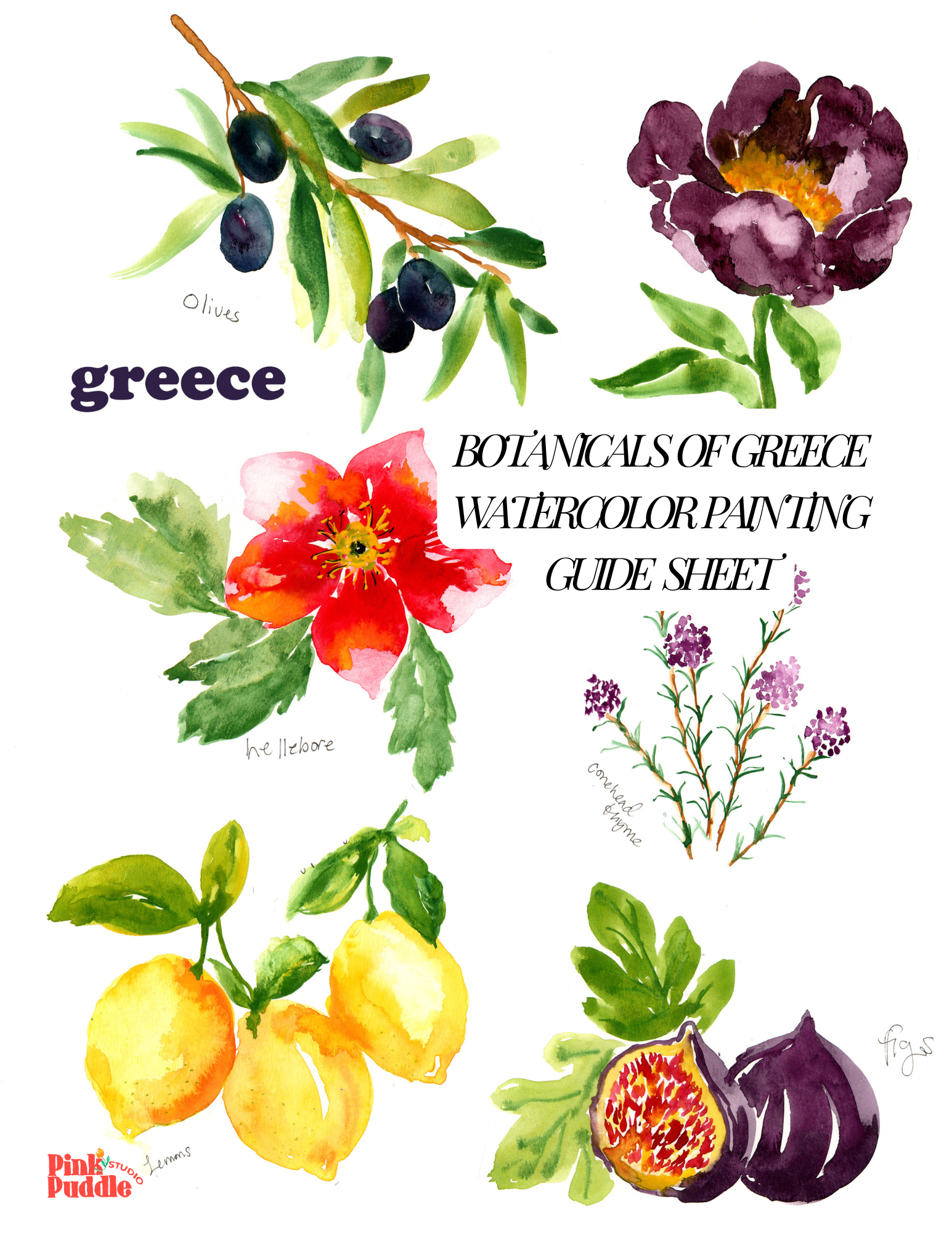 Shop the Paint by number watercolor Kit inspired by a dutch flower